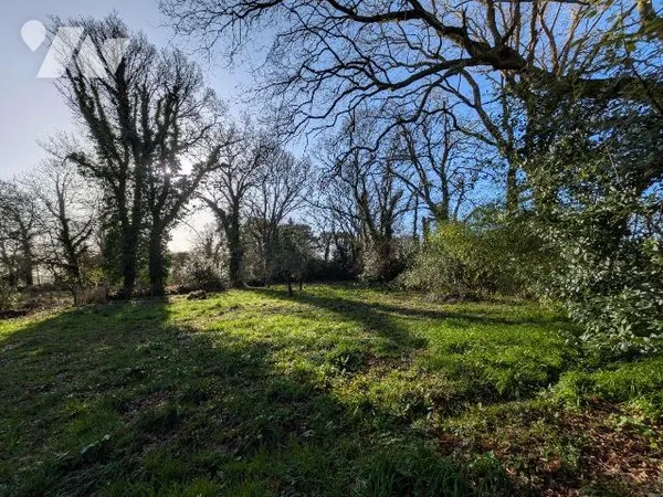 Terrain 1423 m²