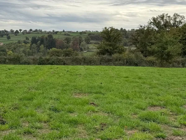 Terrain 2000 m²