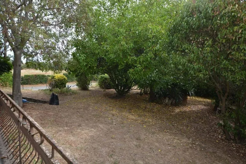 Photo 26