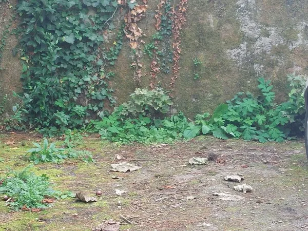 Vends parking - 9m²