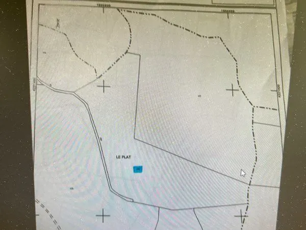 Forêt