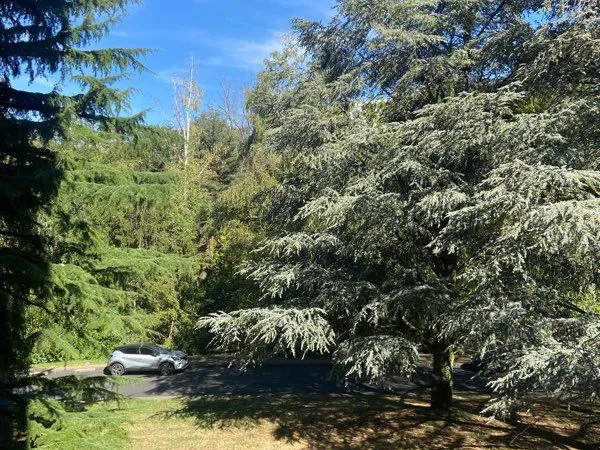 Loue T2 avec terrasse dans résidence du Parc du Portail Rouge