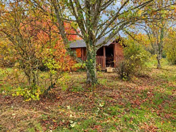 Terrain avec chalet