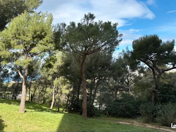 Colocation T4 Roy d'Espagne Entresol petite vue mer