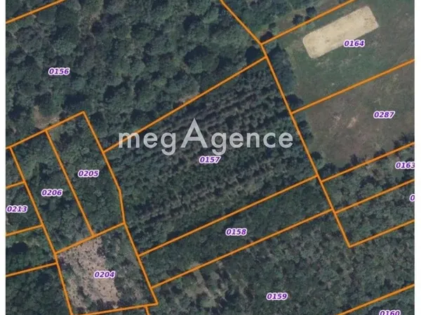 À VENDRE - PARCELLE DE BOIS DE14170 m² À VILLEFRANCHE SUR CHER (41200)