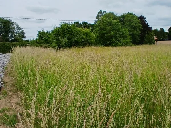 Terrain à bâtir