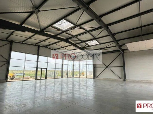 Local commercial 317 m²