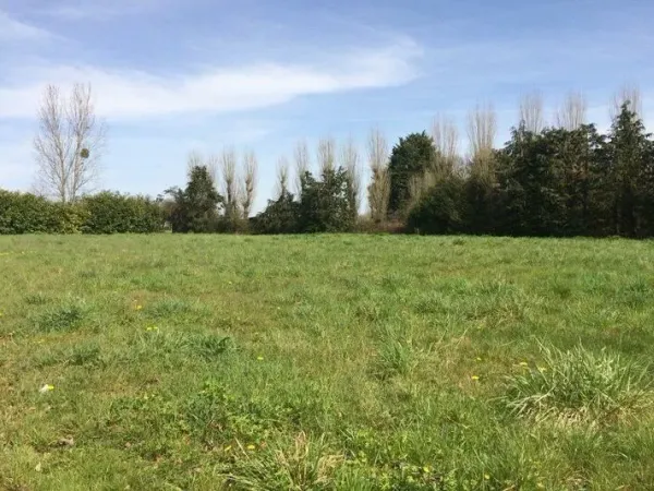 Terrain 394 m²