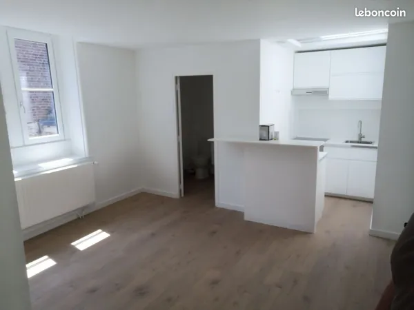 Magnifique appartement Vieux-Lille