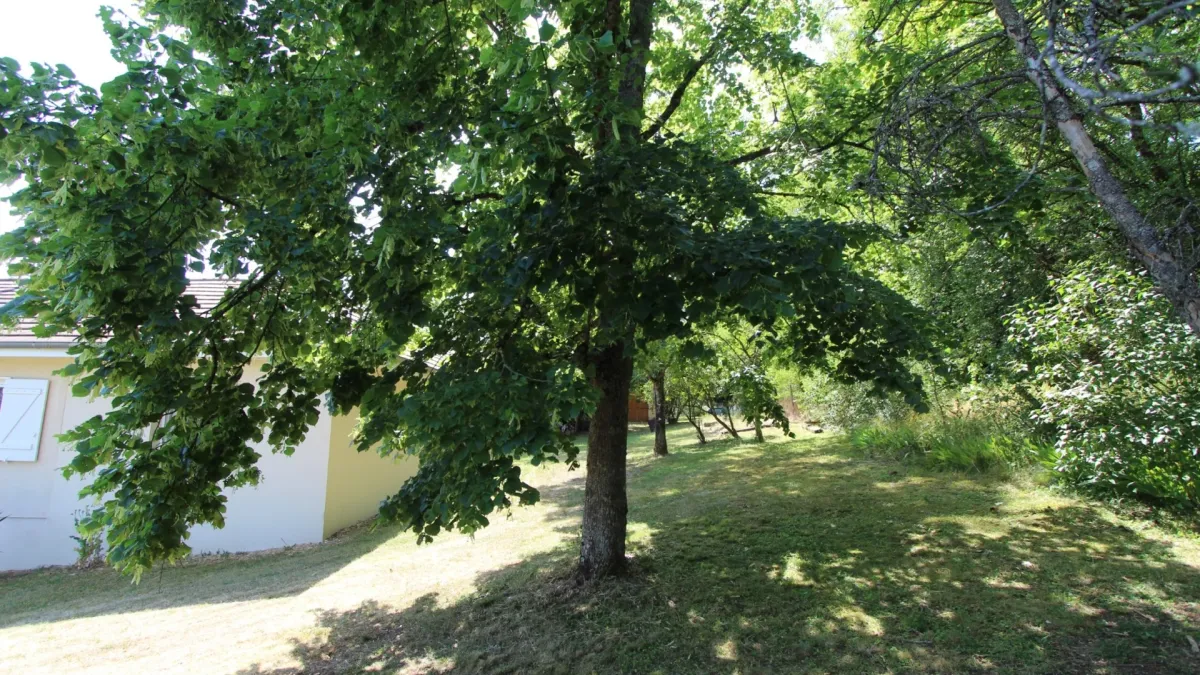 Photo 24