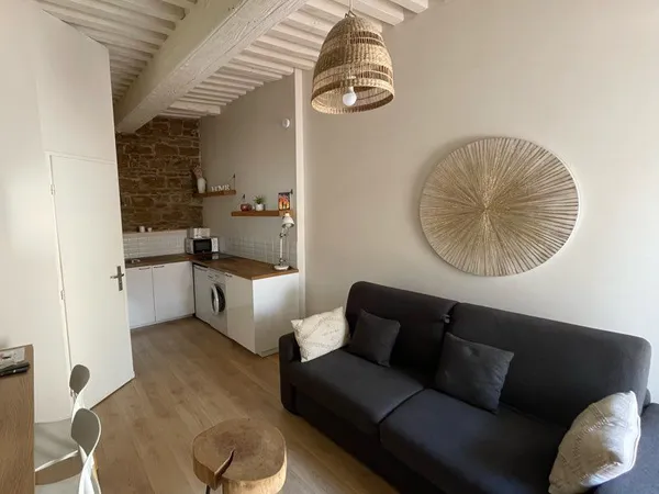 Studio meublé Lyon 7