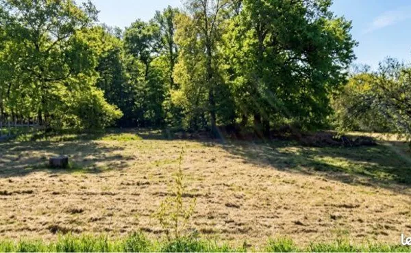 Terrain 4000m2 avec1500m2 à bâtir