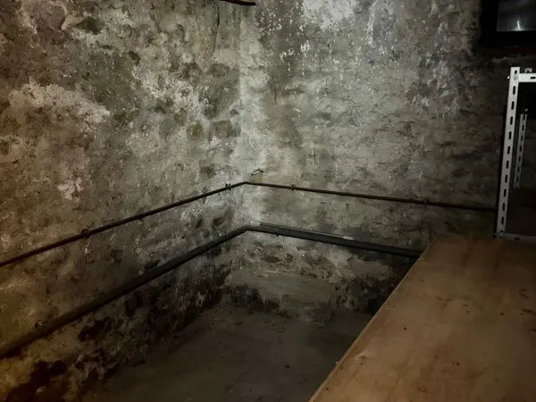 Cave saine sur aix les bains