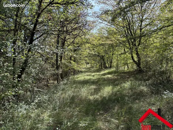 Terrain 4910 m² Chasteaux