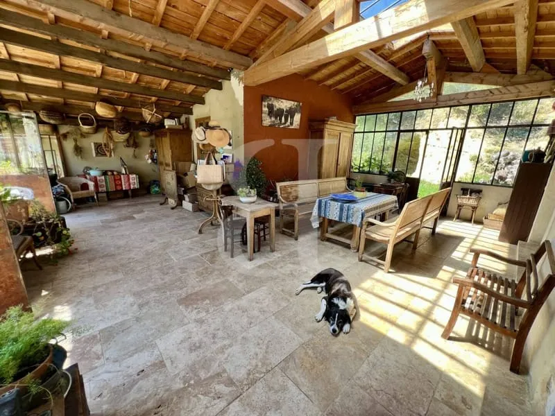Photo 7