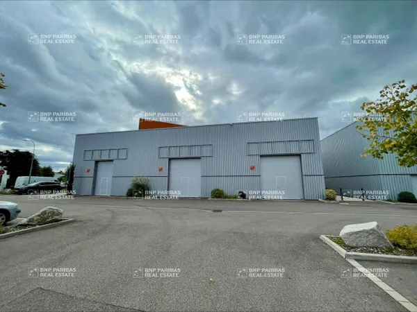 Local d'activité 883 m²