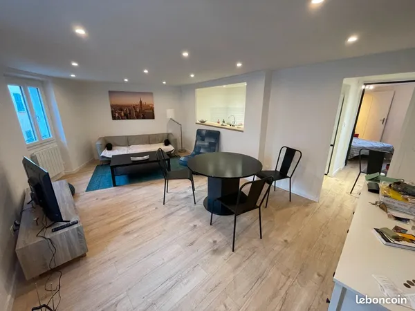 Grand 2 pieces 46m2 en limite du centre historique