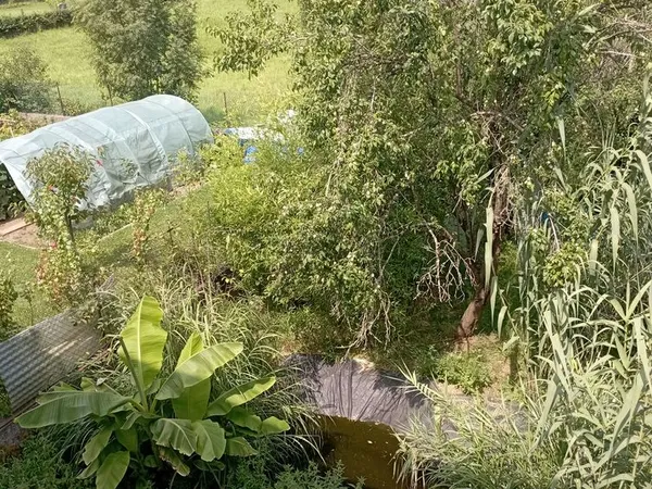 Maison avec terrain Marbache sur 2 ares 55