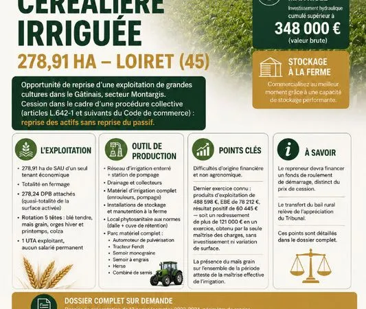 Boutique CORQUILLEROY