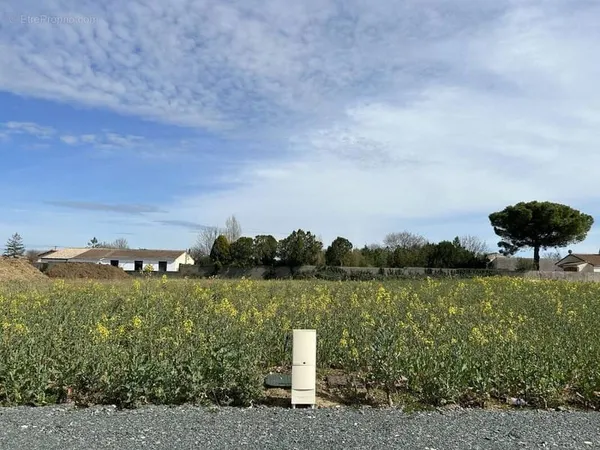 Terrain à bâtir de 301 m² à ANDILLY (17)