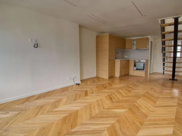 Duplex 1 pièce 46 m²