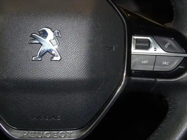 Peugeot 208 1.5 bluehdi 100ch s&amp;s active pack — photo 15