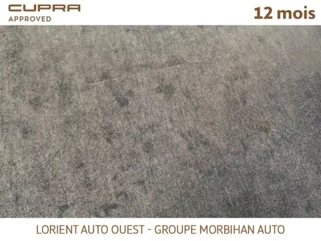 Cupra Formentor 1.4 e-hybrid 245 ch dsg6 — photo 14