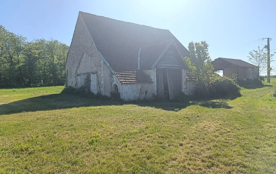Photo 19