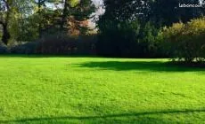 Terrain 985 m² Bouliac