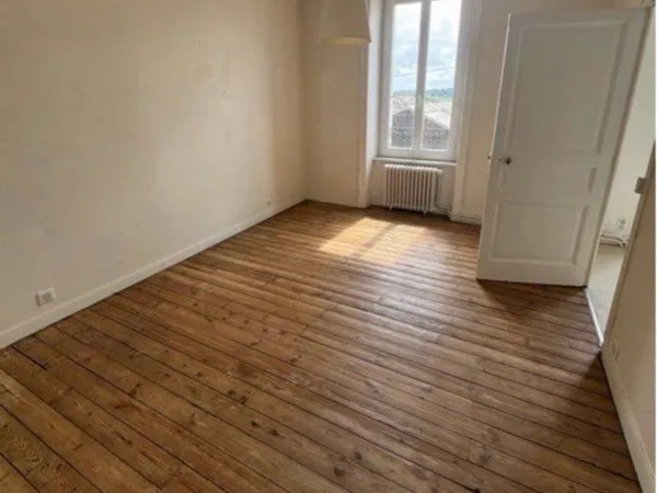 Grand appartement 2 pièces limoges