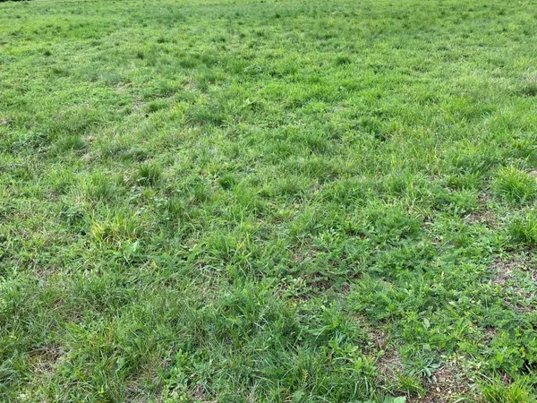 GORRE - TERRAIN VIABILISE 1100 m2