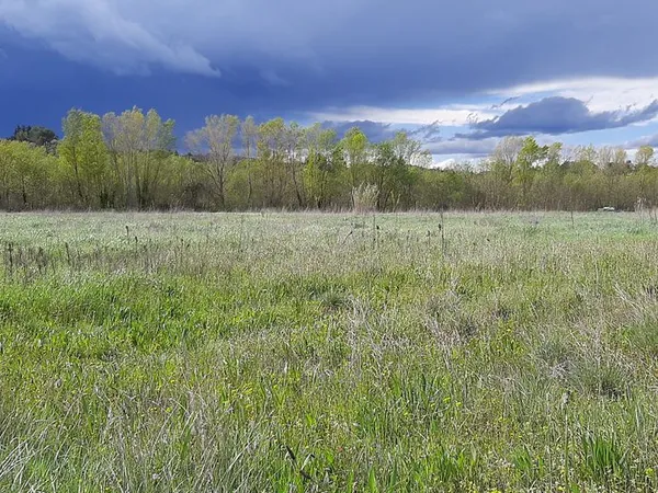 Terrain agricole / de loisirs 55 700 m²