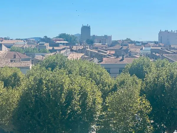 Appartement T4 72m2 centre ville Montélimar