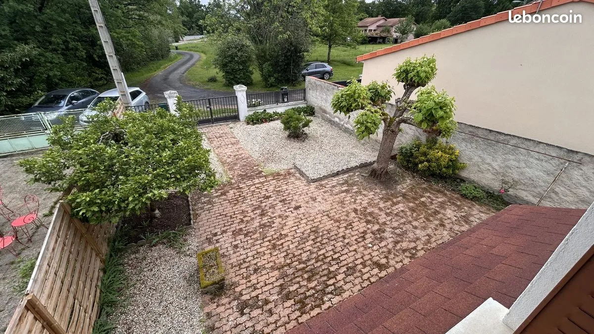Photo 20