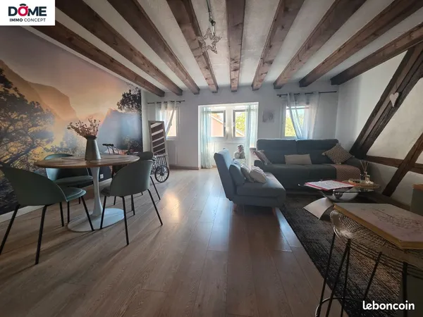 Appartement de charme en plein coeur de Colmar