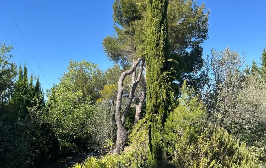 Photo 19