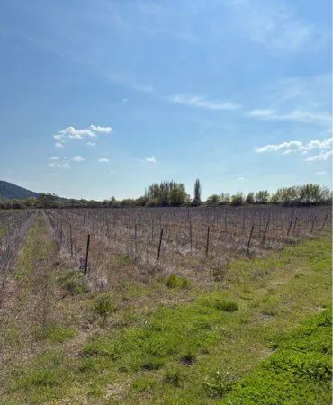Terrain agricole