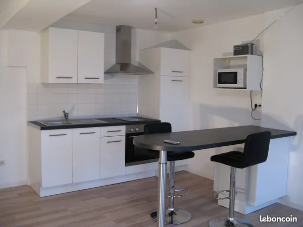 Appartement 2 pièces 41m2 Puylaurens