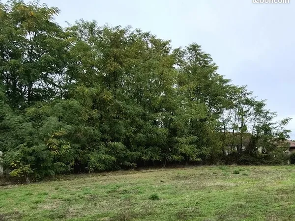 Terrain 1 000 m² Saint Benigne