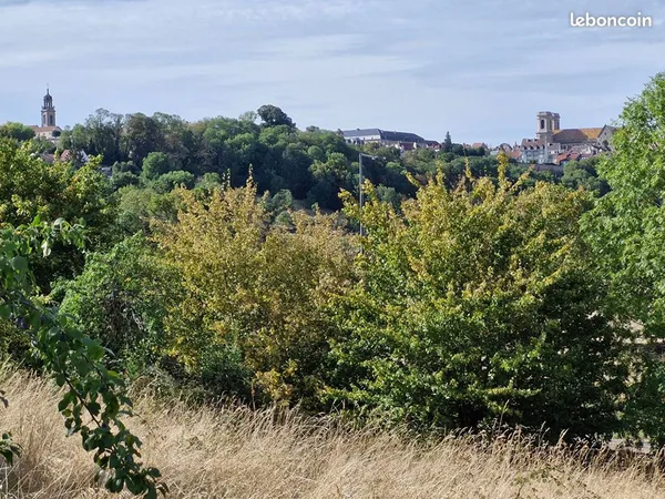 Terrain 12752 m² LANGRES