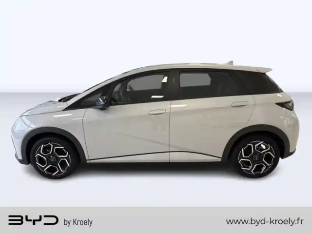 Byd Dolphin comfort 427km d'autonomie wltp, siège chauffant, caméra — photo 2