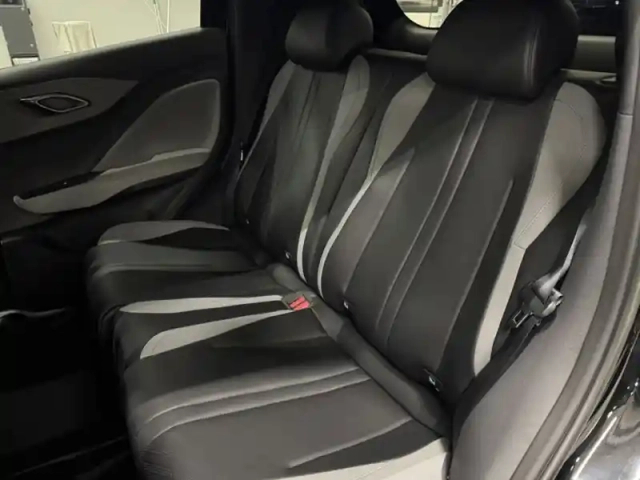 Byd Dolphin surf comfort 115 kw — photo 13