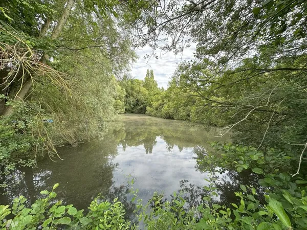 Terrain 4920 m²