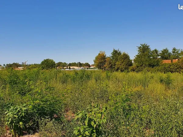 Terrain 1 600 m² Sadirac