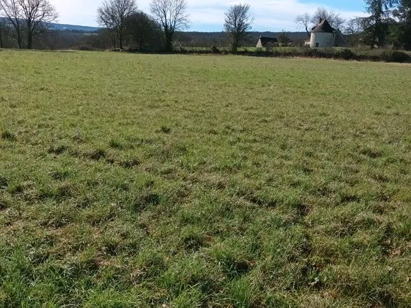 Terrain à bâtir