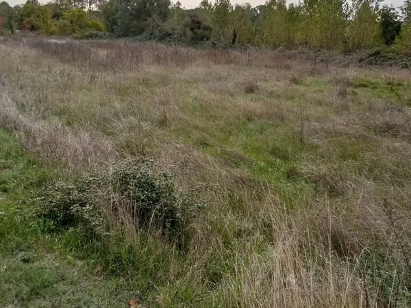 Terrain non constructible