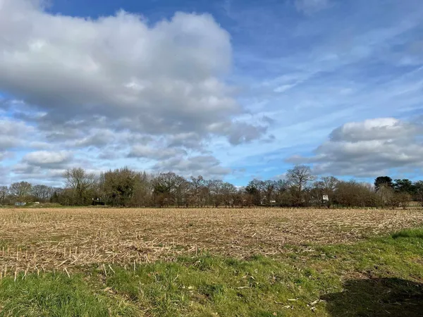 Terrain 315 m²