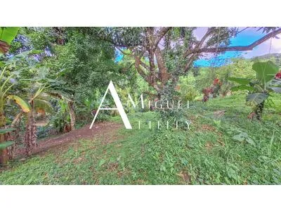 TRINITÉ - TERRAIN CONSTRUCTIBLE DE 495 M²