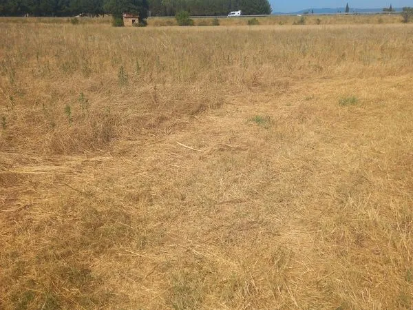 Terrain agricole 4716 m2