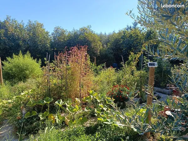 Jardin potager